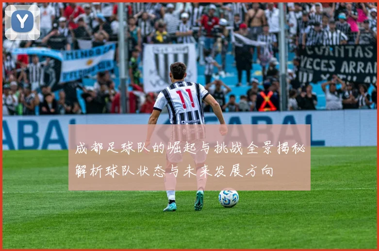 成都足球队的崛起与挑战全景揭秘解析球队状态与未来发展方向